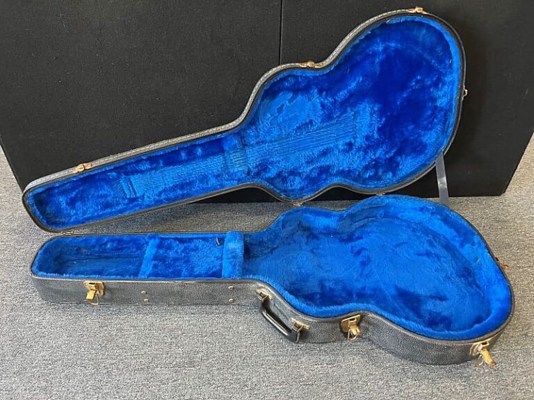 Vintage Gibson Guitar Cases Owning A Gibson